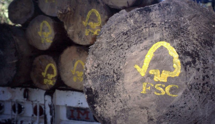 I nostri imballaggi ecosostenibili