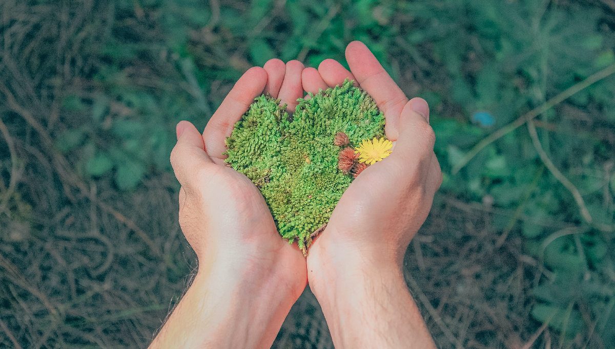 San Valentino: il giorno dell’amore…anche per l’ambiente