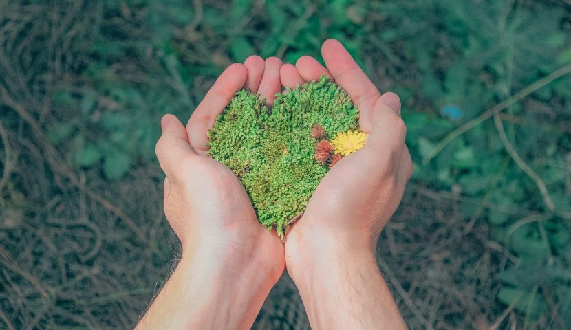 San Valentino: il giorno dell’amore…anche per l’ambiente