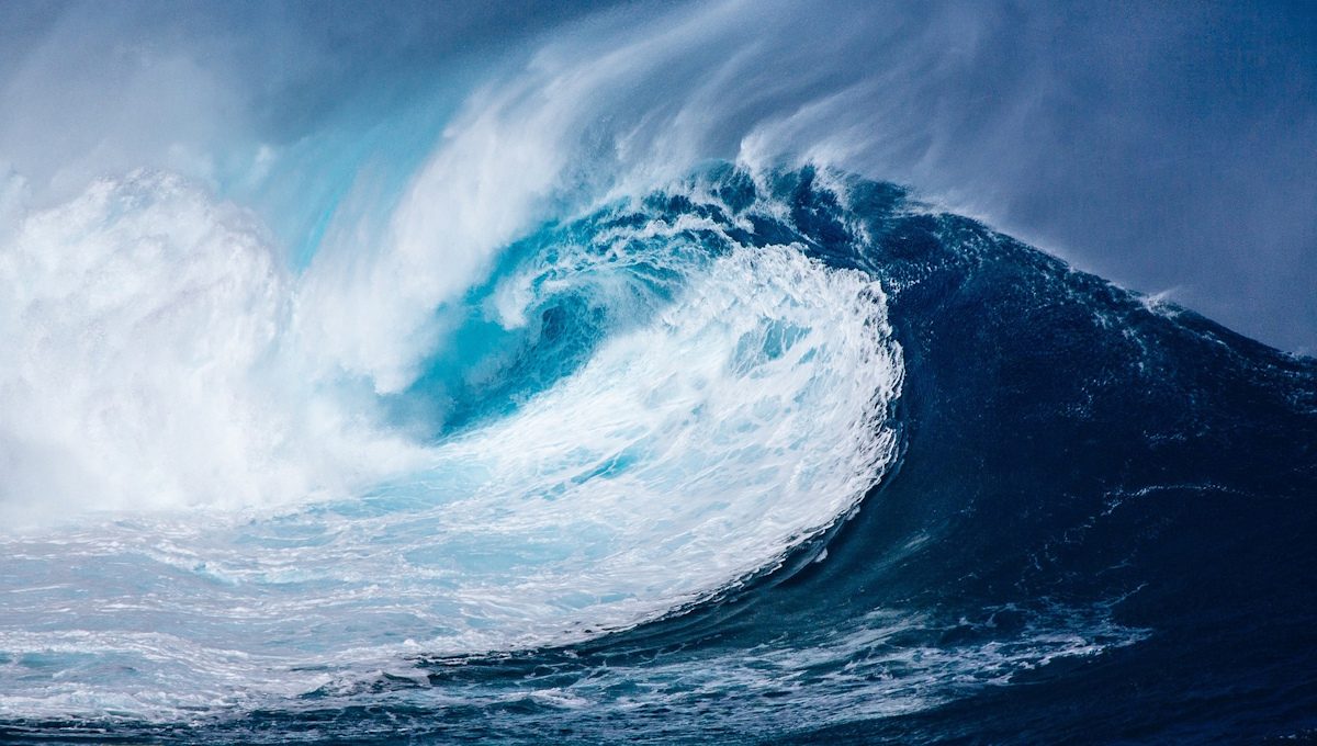 Giornata Mondiale degli Oceani: quali i rifiuti inquinanti, molto più della plastica?