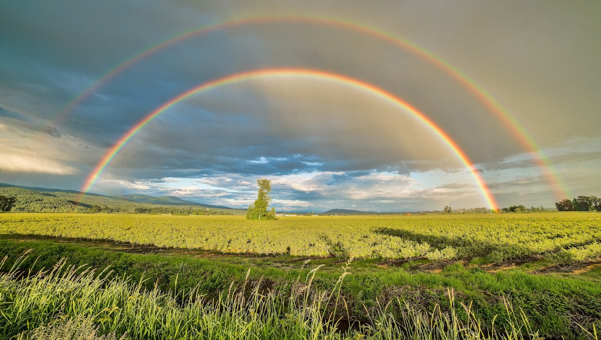Celebriamo l’amore per l’ambiente