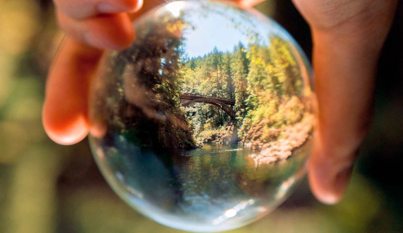 Giornata Mondiale dell’Ambiente